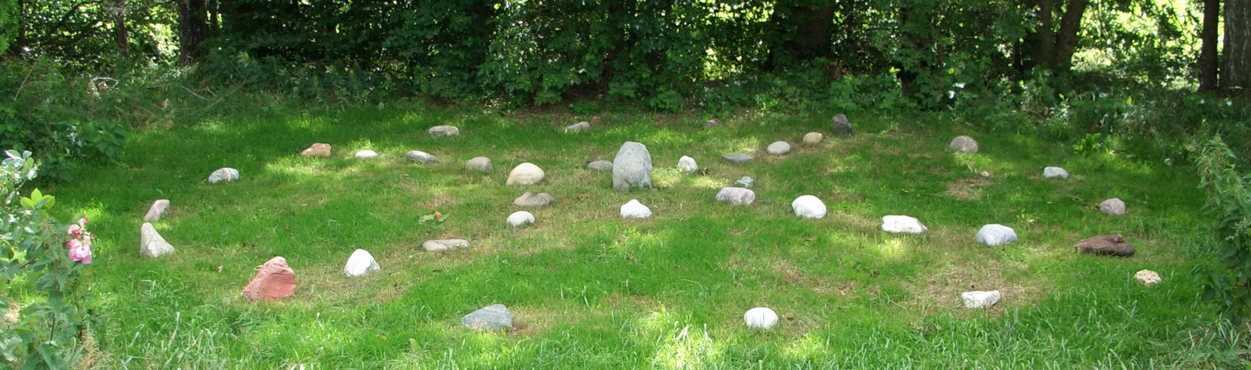 Medizinrad am Schnaggenberg